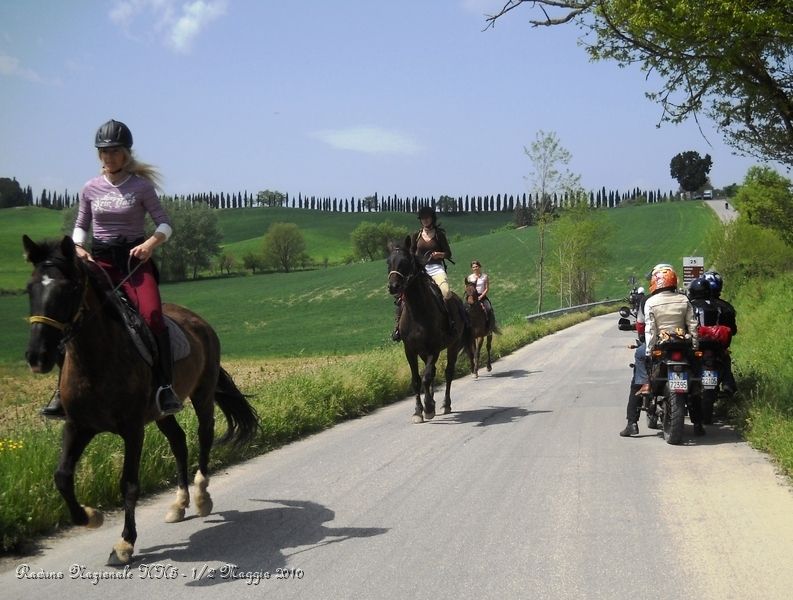 0071.JPG - Ragazzi, ma quanto sono sexi le ragazze a cavallo... :-)