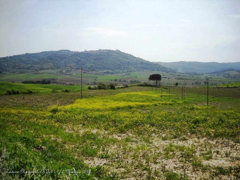 0111.JPG - Dopo pranzo si riparte da Montalcino in direzione Torrenieri..