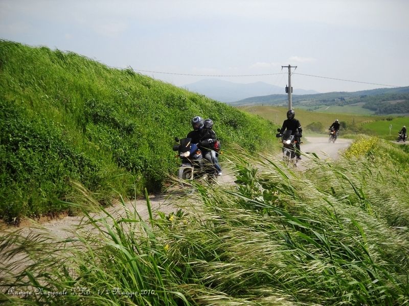 0114.JPG - I campi sono tutti verdi di grano e il vento innesca un effetto onde molto bello...