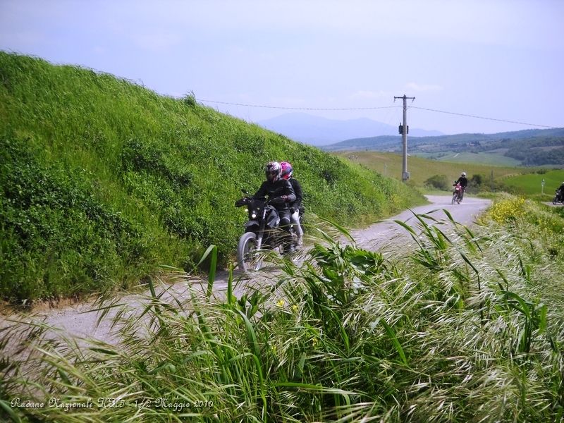 0115.JPG - I campi sono tutti verdi di grano e il vento innesca un effetto onde molto bello...