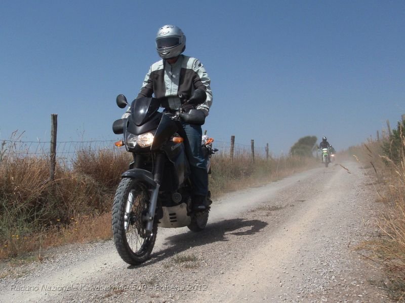 P6300426.JPG - La particolare conformazione litologica ha storicamente condizionato la fruizione e l’uso delle risorse dell’area da parte delle popolazioni locali, contribuendo a mantenere un alto grado di boscosità e di conservazione. Dove l’uomo ha potuto, è intervenuto con opere di disboscamento e spietramento (i “roggi”), con terrazzamenti e regimazione delle acque, destinando tali aree all’agricoltura, al pascolo e all’ estrazione di legna e carbone. Per questa particolarità, e per l’intrico della vegetazione che si fa largo a fatica tra i massi, la Selva è un luogo affascinante e difficilmente accessibile, salvo tramite i pochi sentieri esistenti, ed è stata un tempo rifugio di briganti.