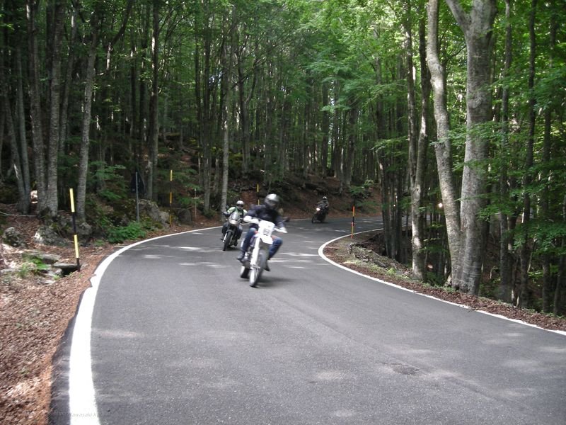 1523.JPG - Su per la montagna