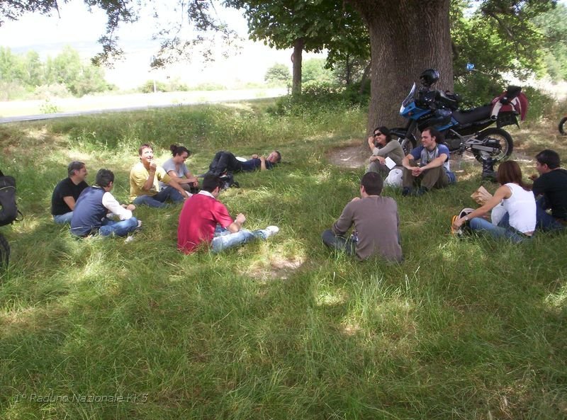145.JPG - Sii tratta di una quercia, o più precisamente di una roverella, che ha una età stimata di quasi quattrocento anni. La gente del luogo e i toscani in genere la chiamano la “Quercia delle checche, o delle cecche”;  “cecca” o “checca” è la parola con cui in Toscana si indica la gazza. 