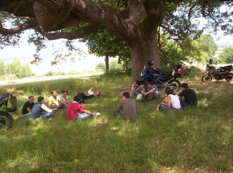 146.JPG - E’ anche conosciuto come “Quercia delle streghe”, in base ad una leggenda che racconta come l’albero fosse nel passato un luogo d’appuntamento per le streghe in occasione dei sabba. 