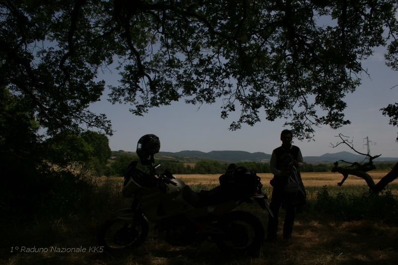168.JPG - Sotto i rami è quasi buio