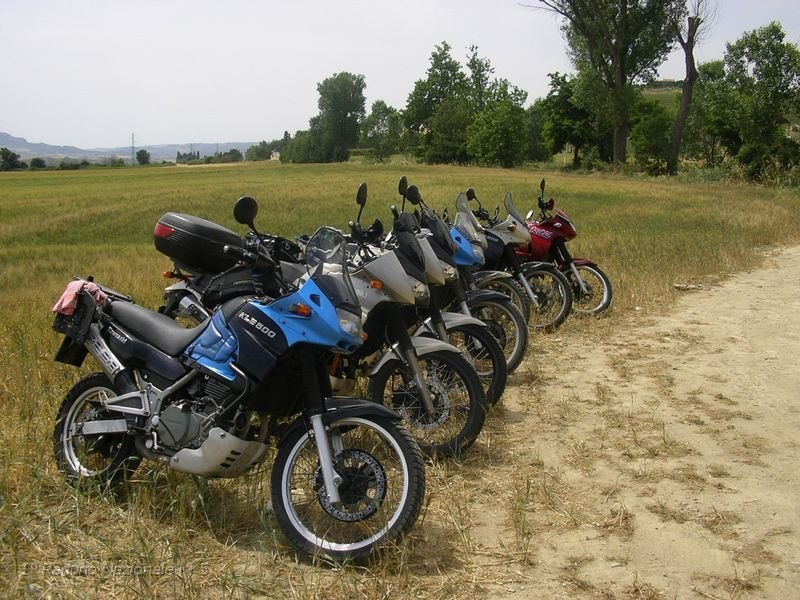 197.JPG - Kle in posa